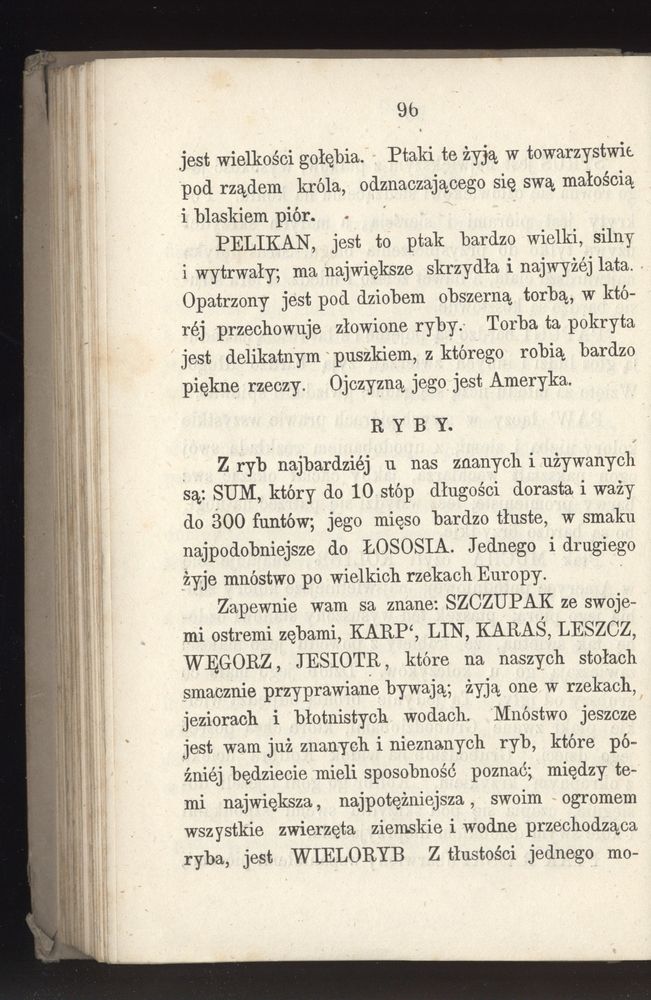 Scan 0168 of Towarzysz pilnych dzieci, czyli Początki czytania i innych wiadomości sposobem łatwym i do pojęcia młodocianego wieku zastosowanym 