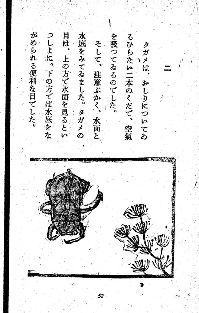 Scan 0058 of 昆虫たちの国