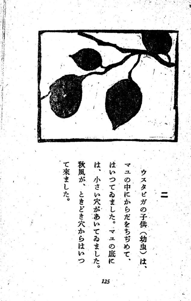 Scan 0131 of 昆虫たちの国