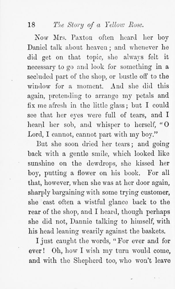 Scan 0022 of The story of a yellow rose told by itself