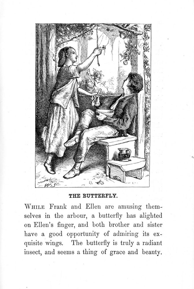 Scan 0049 of Peeps of home, and homely joys, of youth, and age, of girls and boys